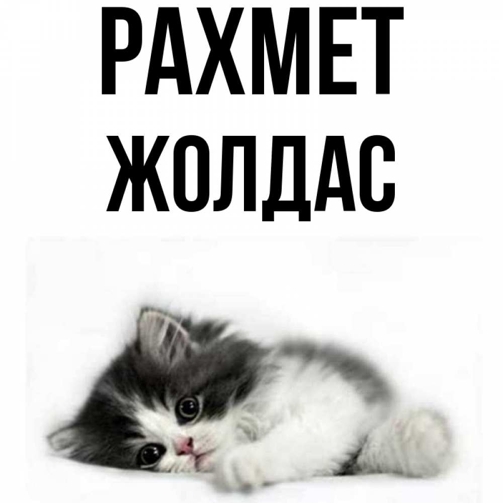 Күн сайын ашық хат с именем, Жолдас рахмет черный и белый кот Онлайн тегін жүктеп алу тілектері бар керемет карта 