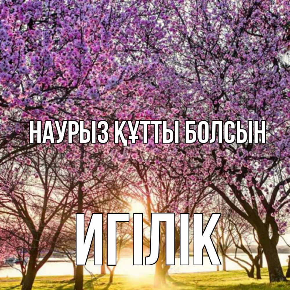 Күн сайын ашық хат с именем, Игілік Наурыз құтты болсын наурыз Онлайн тегін жүктеп алу тілектері бар керемет карта 