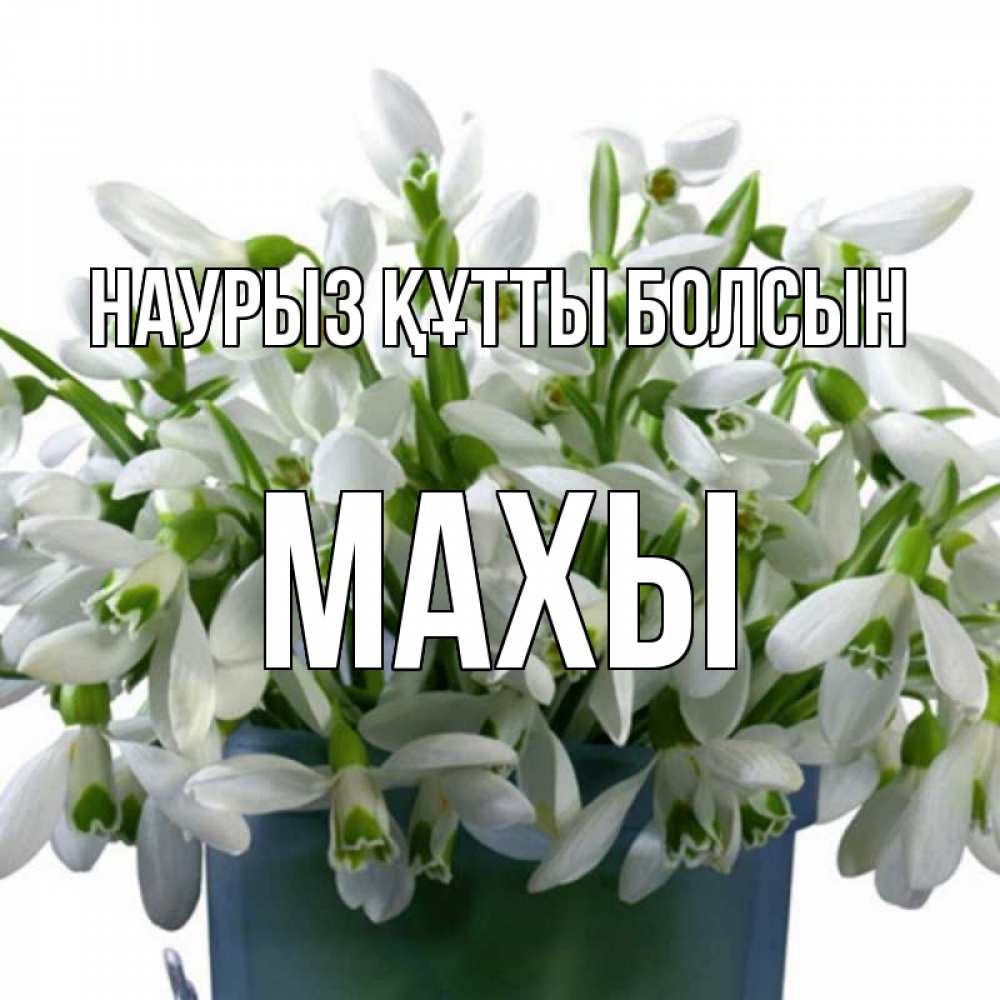 Күн сайын ашық хат с именем, МАХЫ Наурыз құтты болсын цветы к наурызу Онлайн тегін жүктеп алу тілектері бар керемет карта 