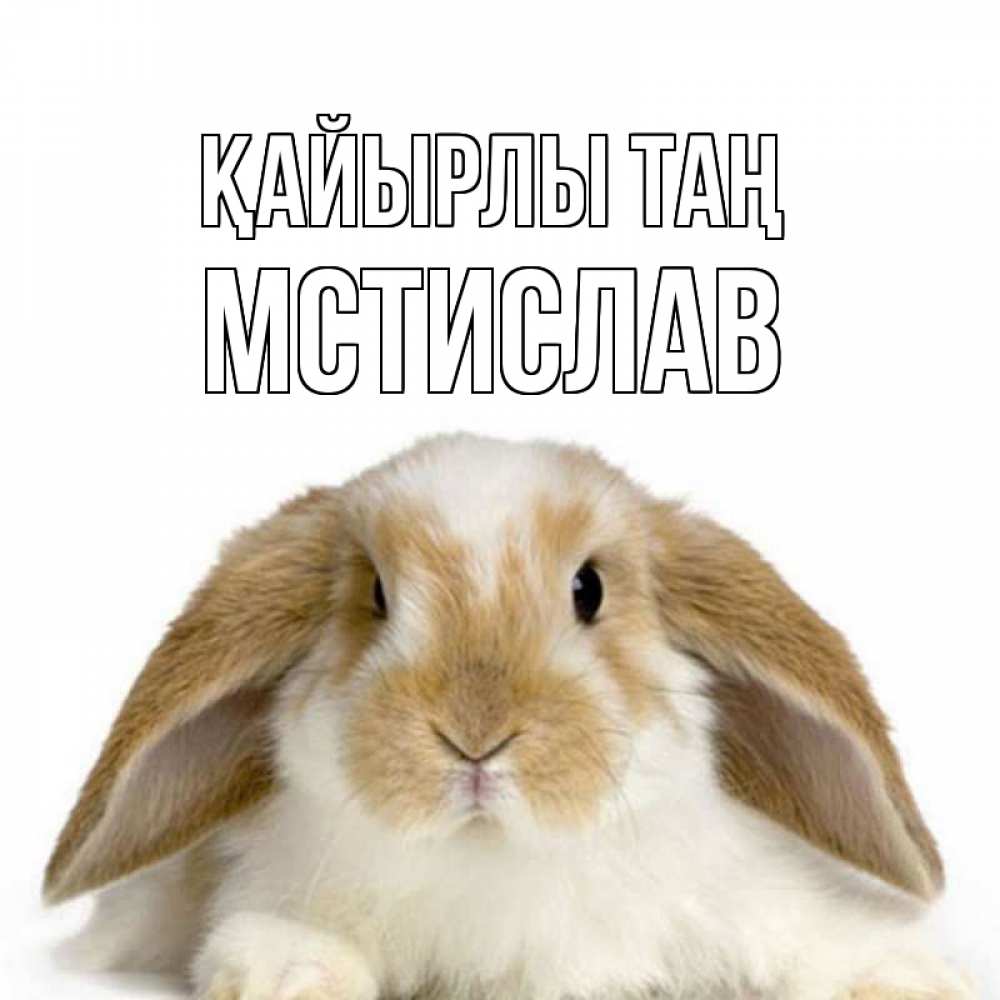 Күн сайын ашық хат с именем, Мстислав Қайырлы таң прикольные открытки на каждый день Онлайн тегін жүктеп алу тілектері бар керемет карта 