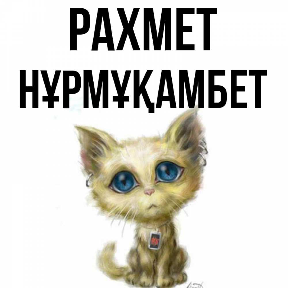Күн сайын ашық хат с именем, НҰРМҰҚАМБЕТ рахмет рисованный кот благодарит вас Онлайн тегін жүктеп алу тілектері бар керемет карта 