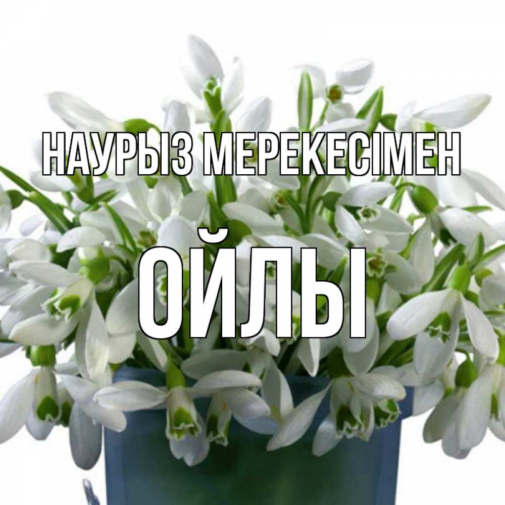 Күн сайын ашық хат с именем, ОЙЛЫ Наурыз мерекесімен цветы к наурызу новый год в Казахстане Онлайн тегін жүктеп алу тілектері бар керемет карта 