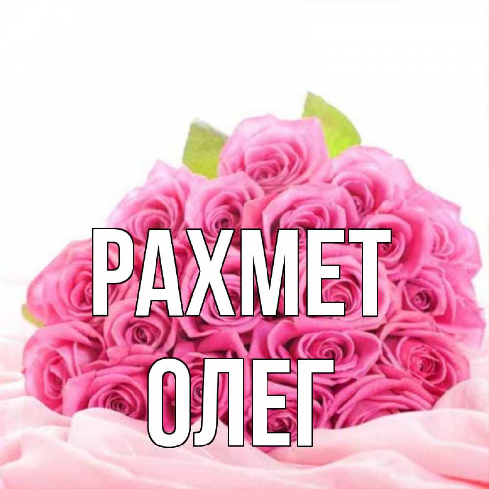 Күн сайын ашық хат с именем, Олег рахмет розовые розы с подписью Онлайн тегін жүктеп алу тілектері бар керемет карта 