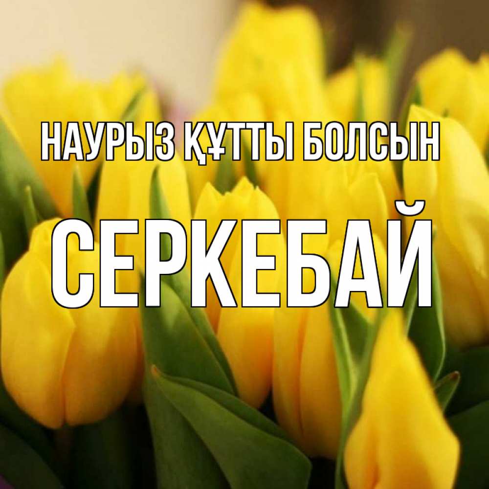 Күн сайын ашық хат с именем, СЕРКЕБАЙ Наурыз құтты болсын цветы Онлайн тегін жүктеп алу тілектері бар керемет карта 