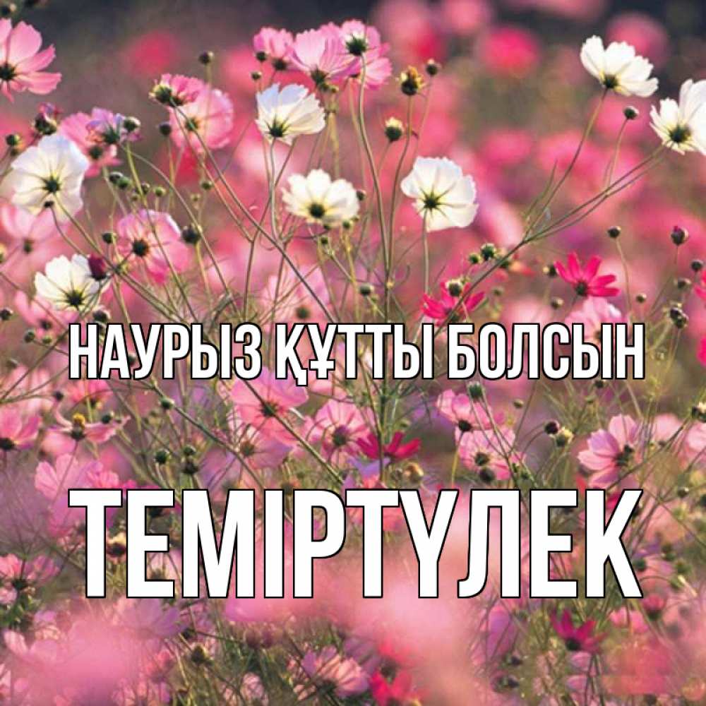 Күн сайын ашық хат с именем, ТЕМІРТҮЛЕК Наурыз құтты болсын красиво 1 Онлайн тегін жүктеп алу тілектері бар керемет карта 