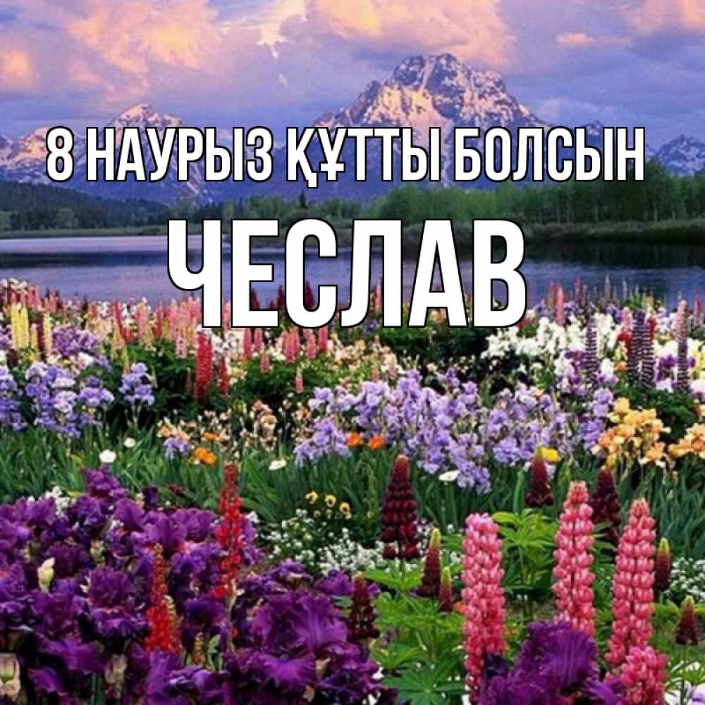 Күн сайын ашық хат с именем, Чеслав 8 наурыз құтты болсын международный женский день Онлайн тегін жүктеп алу тілектері бар керемет карта 