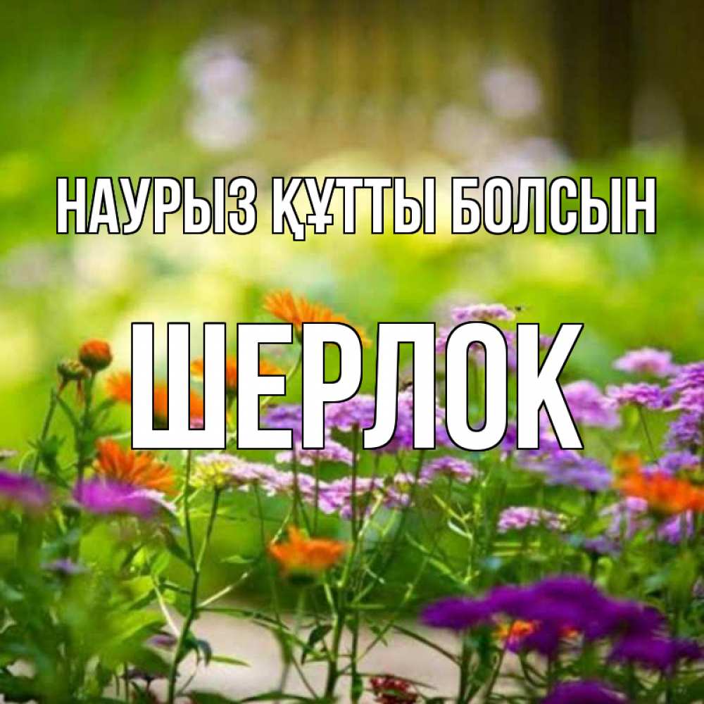 Күн сайын ашық хат с именем, Шерлок Наурыз құтты болсын цветы Онлайн тегін жүктеп алу тілектері бар керемет карта 