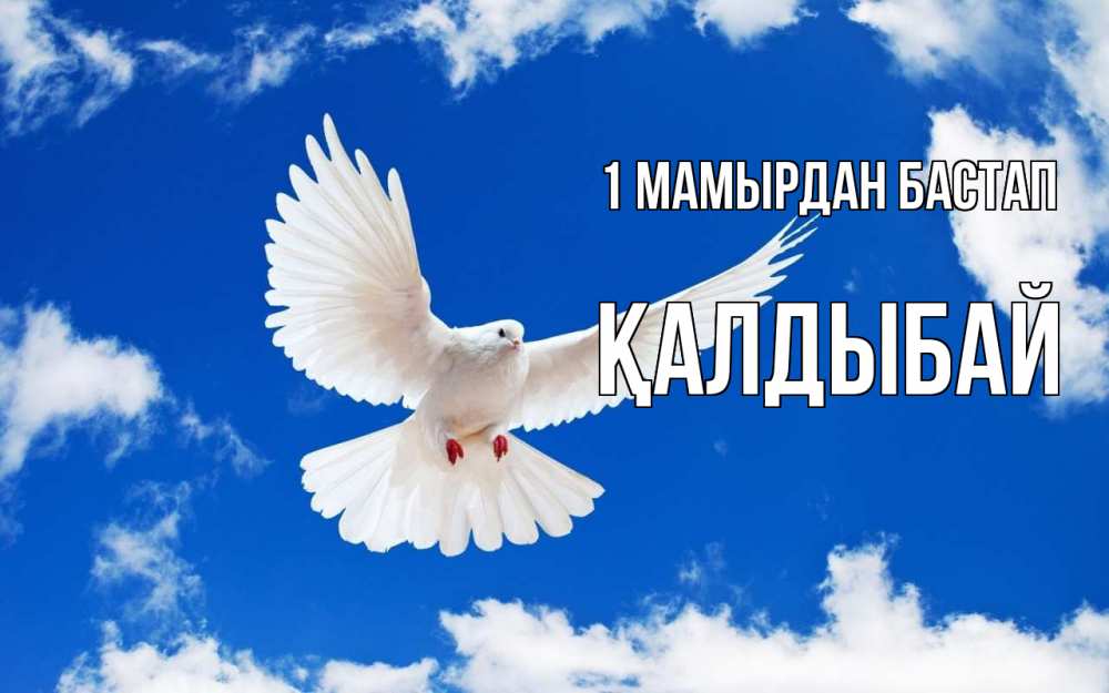 Күн сайын ашық хат с именем, Қалдыбай 1 мамырдан бастап С 1 мая 1 Онлайн тегін жүктеп алу тілектері бар керемет карта 