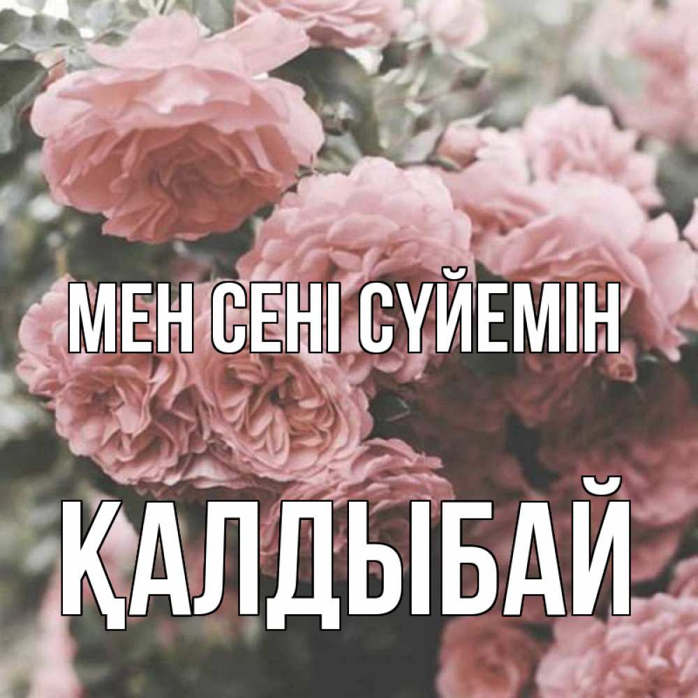 Күн сайын ашық хат с именем, Қалдыбай Мен сені сүйемін розы 3 Онлайн тегін жүктеп алу тілектері бар керемет карта 