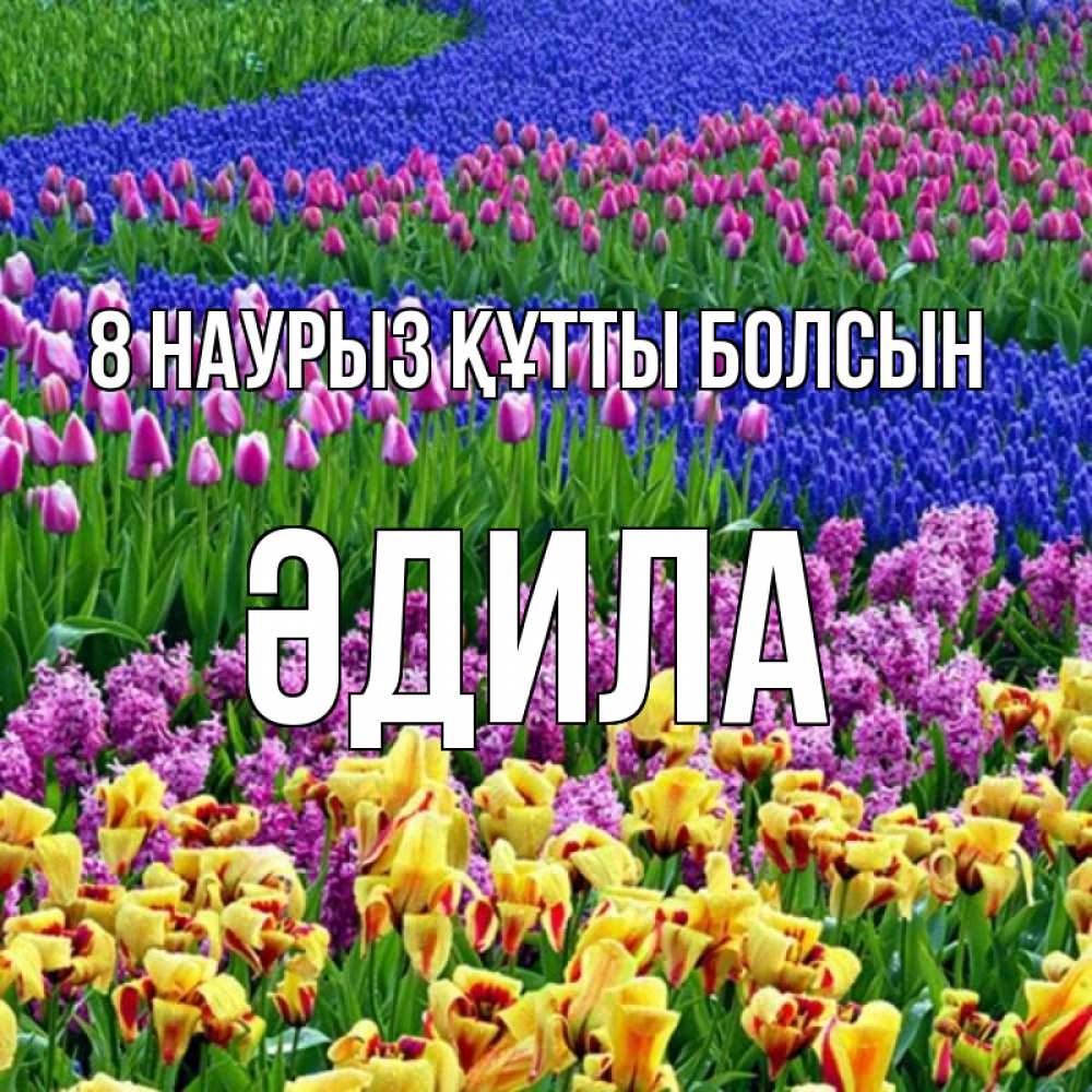 Күн сайын ашық хат с именем, ӘДИЛА 8 наурыз құтты болсын цветы Онлайн тегін жүктеп алу тілектері бар керемет карта 