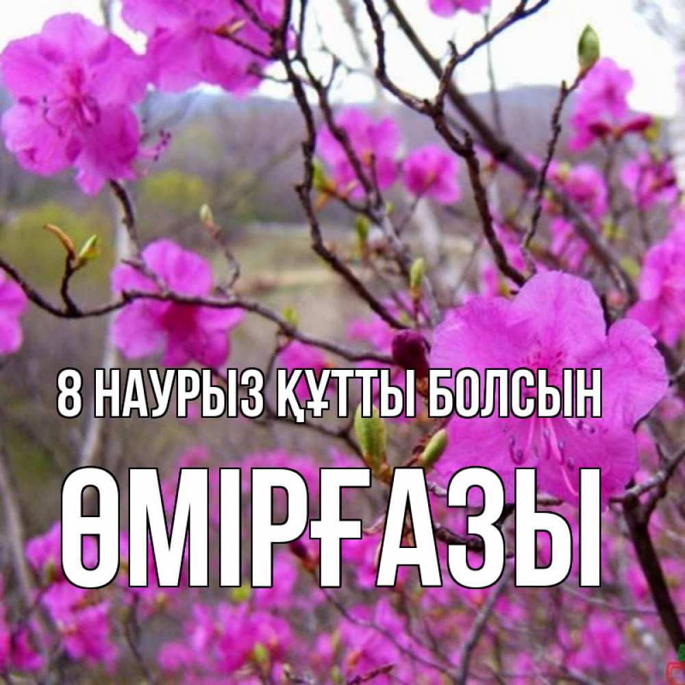Күн сайын ашық хат с именем, ӨМІРҒАЗЫ 8 наурыз құтты болсын международный женский день Онлайн тегін жүктеп алу тілектері бар керемет карта 
