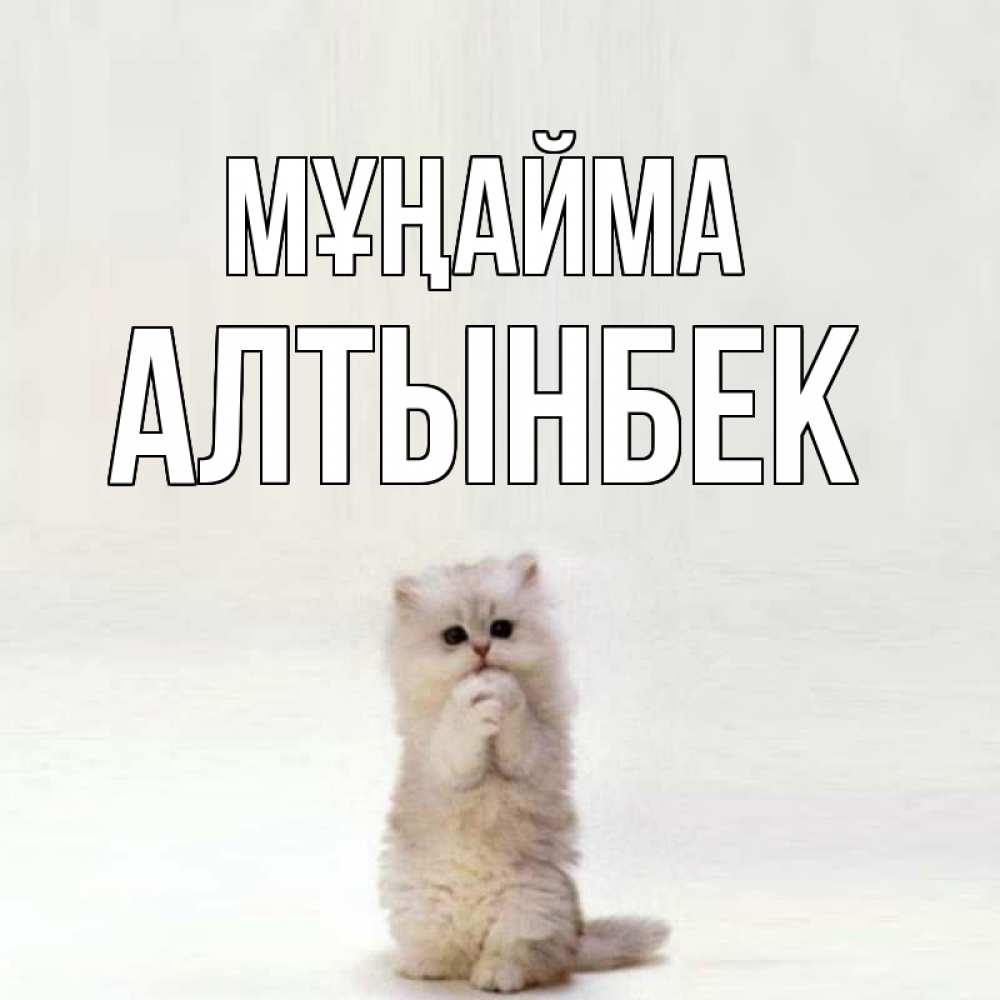 Күн сайын ашық хат с именем, Алтынбек Мұңайма грустный кот Онлайн тегін жүктеп алу тілектері бар керемет карта 