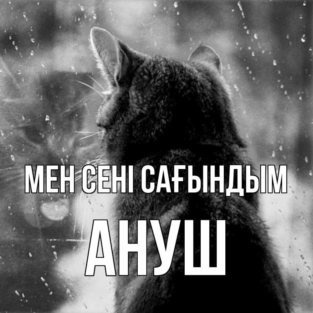 Күн сайын ашық хат с именем, Ануш Мен сені сағындым скорее ко мне приходи 1 Онлайн тегін жүктеп алу тілектері бар керемет карта 