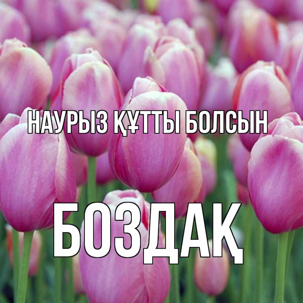 Күн сайын ашық хат с именем, Боздақ Наурыз құтты болсын на наурыз  день 3 Онлайн тегін жүктеп алу тілектері бар керемет карта 