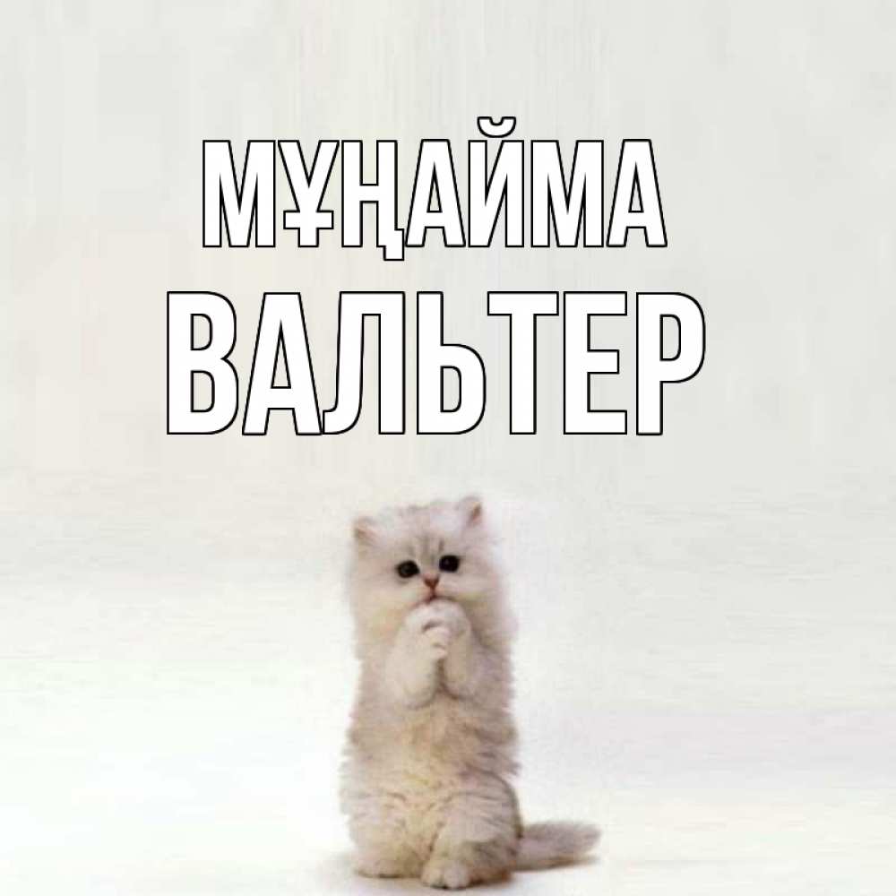 Күн сайын ашық хат с именем, Вальтер Мұңайма грустный кот Онлайн тегін жүктеп алу тілектері бар керемет карта 