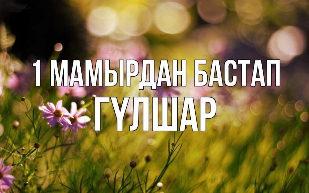Күн сайын ашық хат с именем, ГҮЛШАР 1 мамырдан бастап С 1 мая Онлайн тегін жүктеп алу тілектері бар керемет карта 