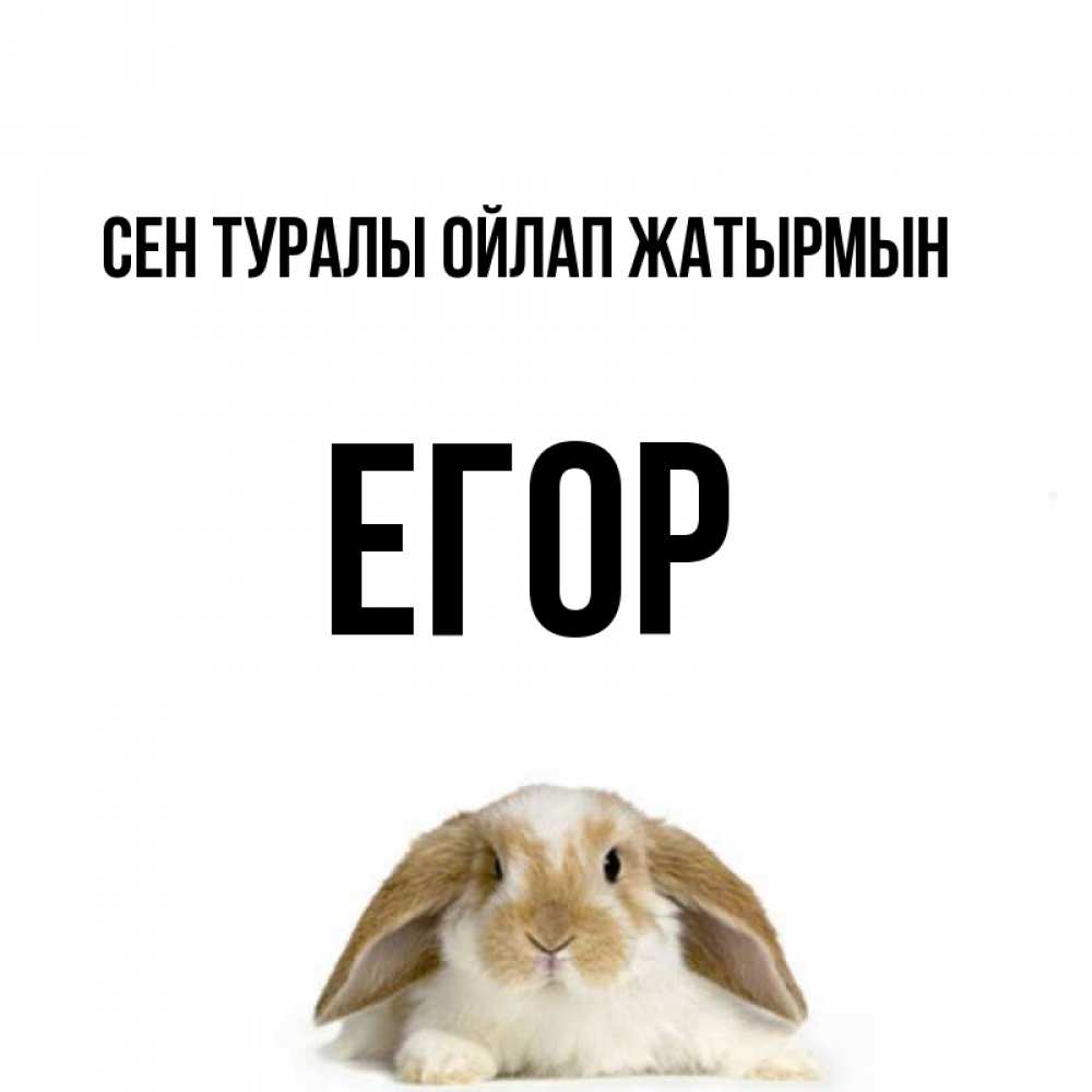 Күн сайын ашық хат с именем, Егор Сен туралы ойлап жатырмын подписать своими руками онлайн Онлайн тегін жүктеп алу тілектері бар керемет карта 