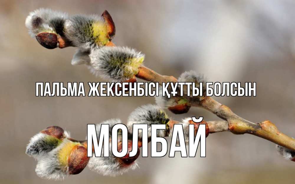 Күн сайын ашық хат с именем, МОЛБАЙ Пальма жексенбісі құтты болсын Верба Онлайн тегін жүктеп алу тілектері бар керемет карта 