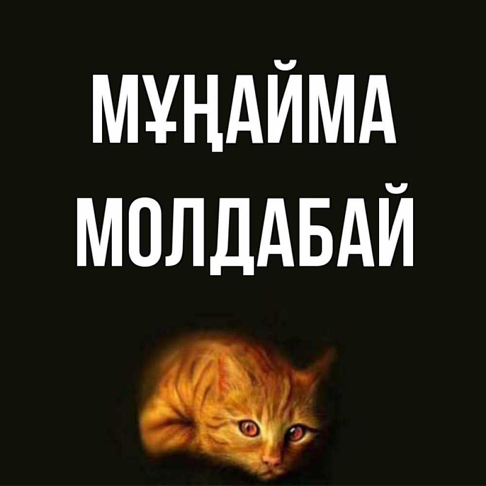 Күн сайын ашық хат с именем, МОЛДАБАЙ Мұңайма лежащий кот в темноте Онлайн тегін жүктеп алу тілектері бар керемет карта 