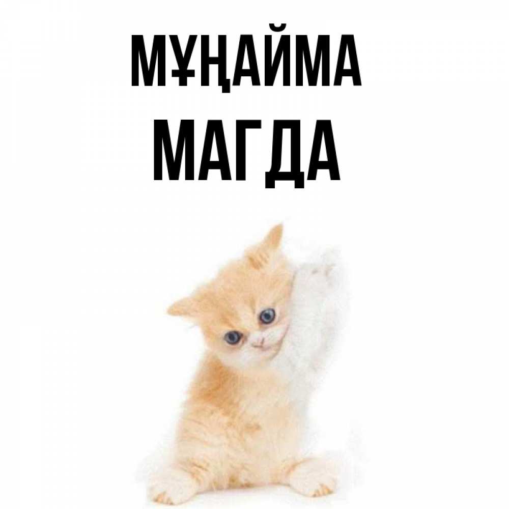 Күн сайын ашық хат с именем, Магда Мұңайма просящий кот Онлайн тегін жүктеп алу тілектері бар керемет карта 
