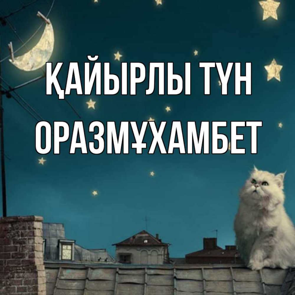 Күн сайын ашық хат с именем, ОРАЗМҰХАМБЕТ Қайырлы түн белый кот сидит на крыше Онлайн тегін жүктеп алу тілектері бар керемет карта 