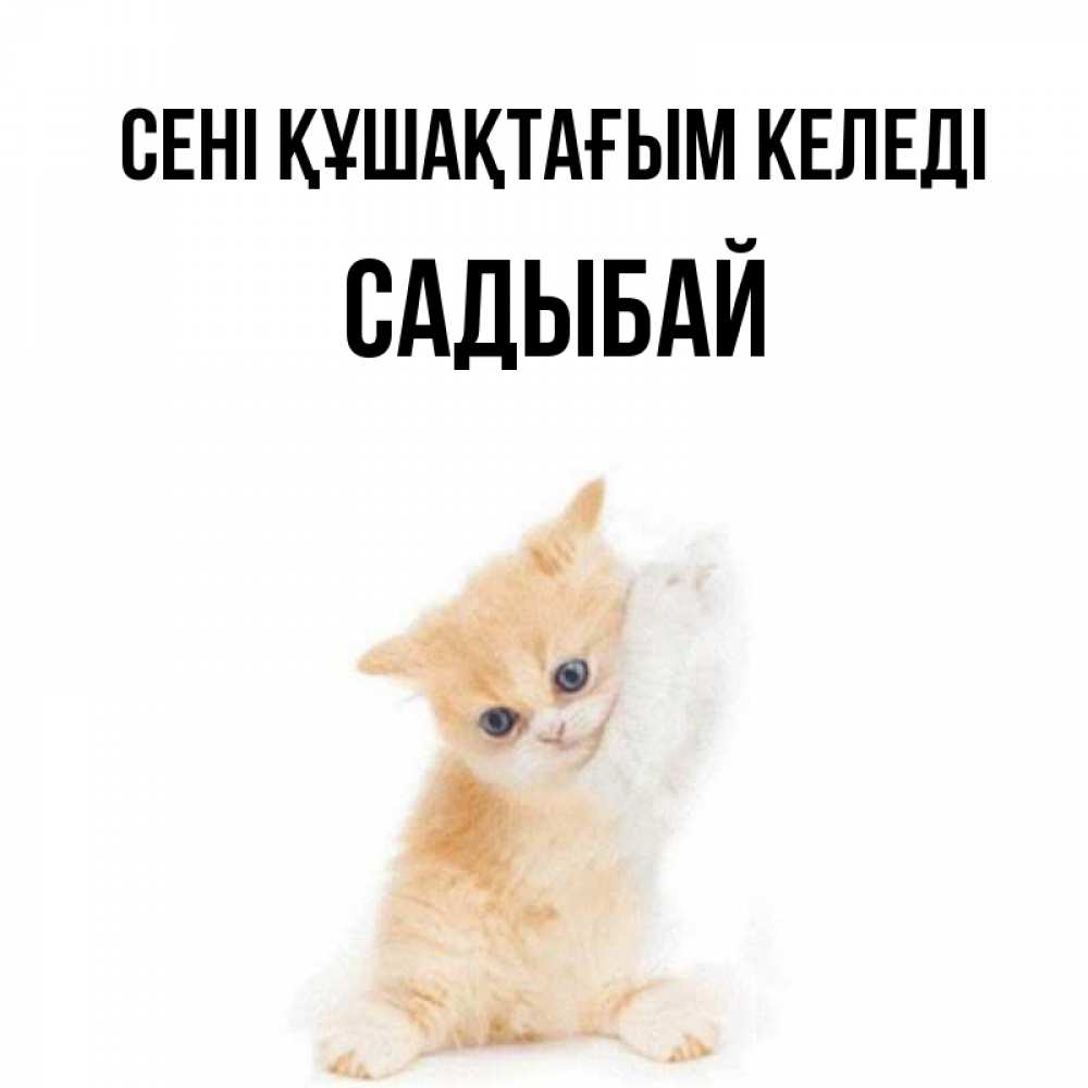Күн сайын ашық хат с именем, САДЫБАЙ сені құшақтағым келеді я хочу очень скорее обнимаешек Онлайн тегін жүктеп алу тілектері бар керемет карта 