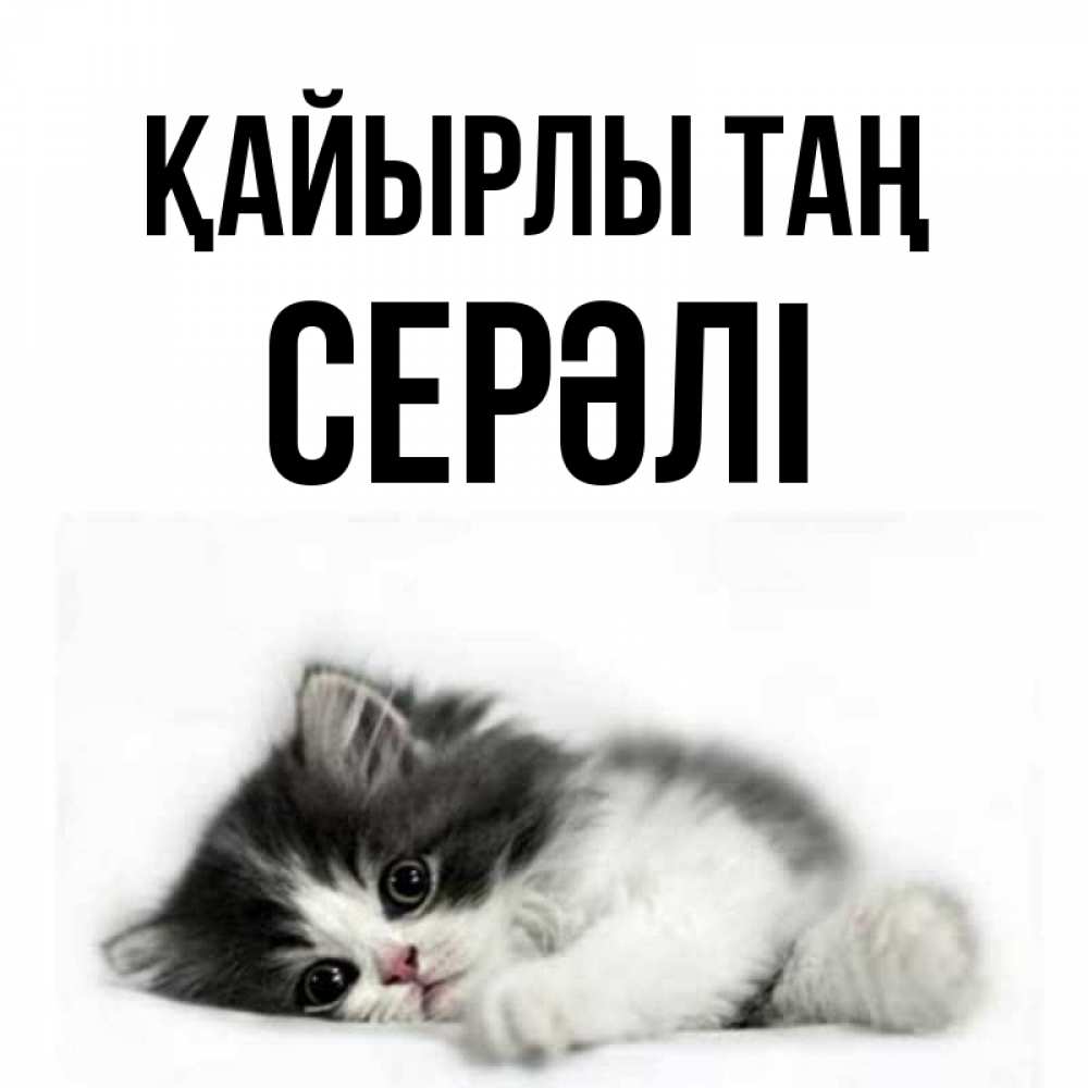 Күн сайын ашық хат с именем, СЕРӘЛІ Қайырлы таң кот лапки Онлайн тегін жүктеп алу тілектері бар керемет карта 