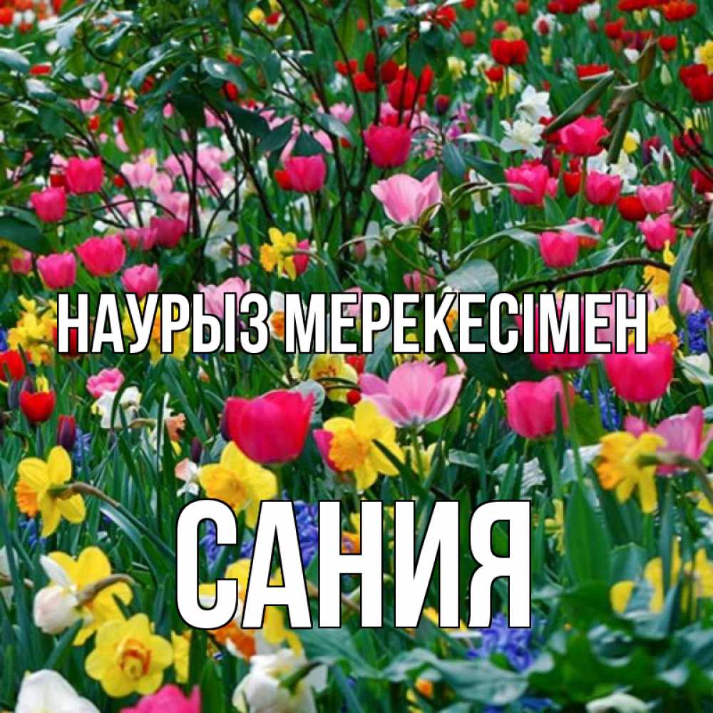 Күн сайын ашық хат с именем, Сания Наурыз мерекесімен с наурызом праздником весны поздравления для женщины Онлайн тегін жүктеп алу тілектері бар керемет карта 