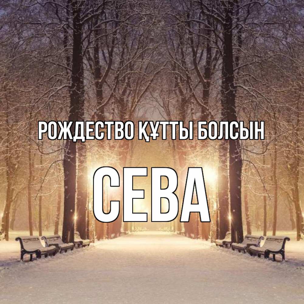 Күн сайын ашық хат с именем, Сева Рождество құтты болсын зима, парк, фонарь, лес Онлайн тегін жүктеп алу тілектері бар керемет карта 