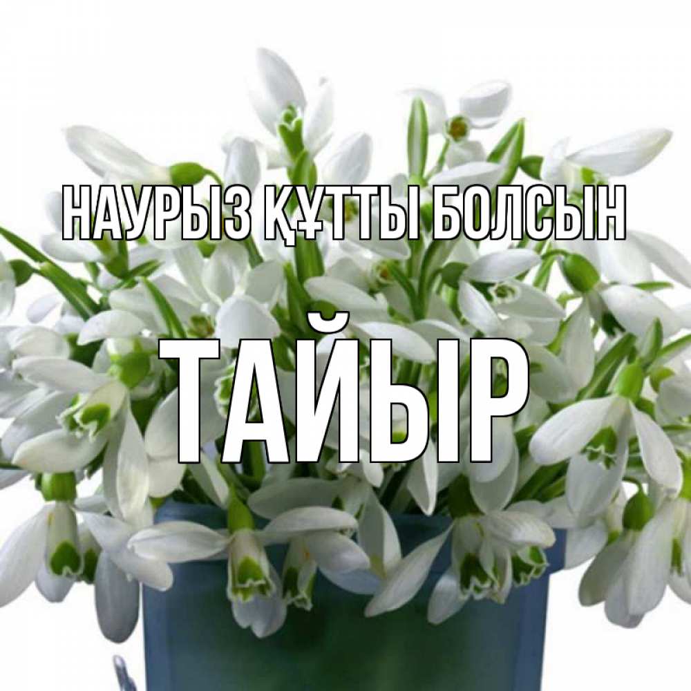 Күн сайын ашық хат с именем, ТАЙЫР Наурыз құтты болсын цветы к наурызу Онлайн тегін жүктеп алу тілектері бар керемет карта 