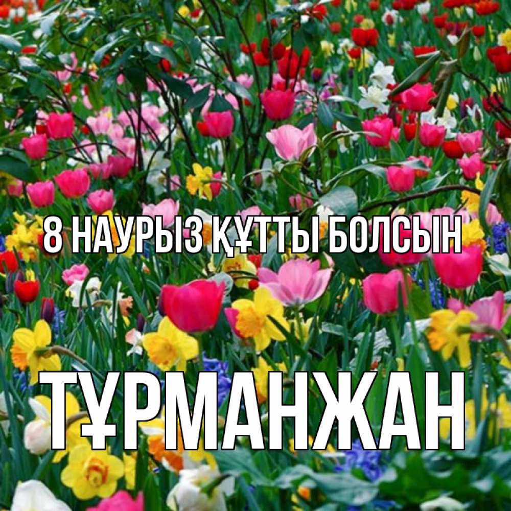 Күн сайын ашық хат с именем, ТҰРМАНЖАН 8 наурыз құтты болсын с международным женским днем поздравления для женщины Онлайн тегін жүктеп алу тілектері бар керемет карта 