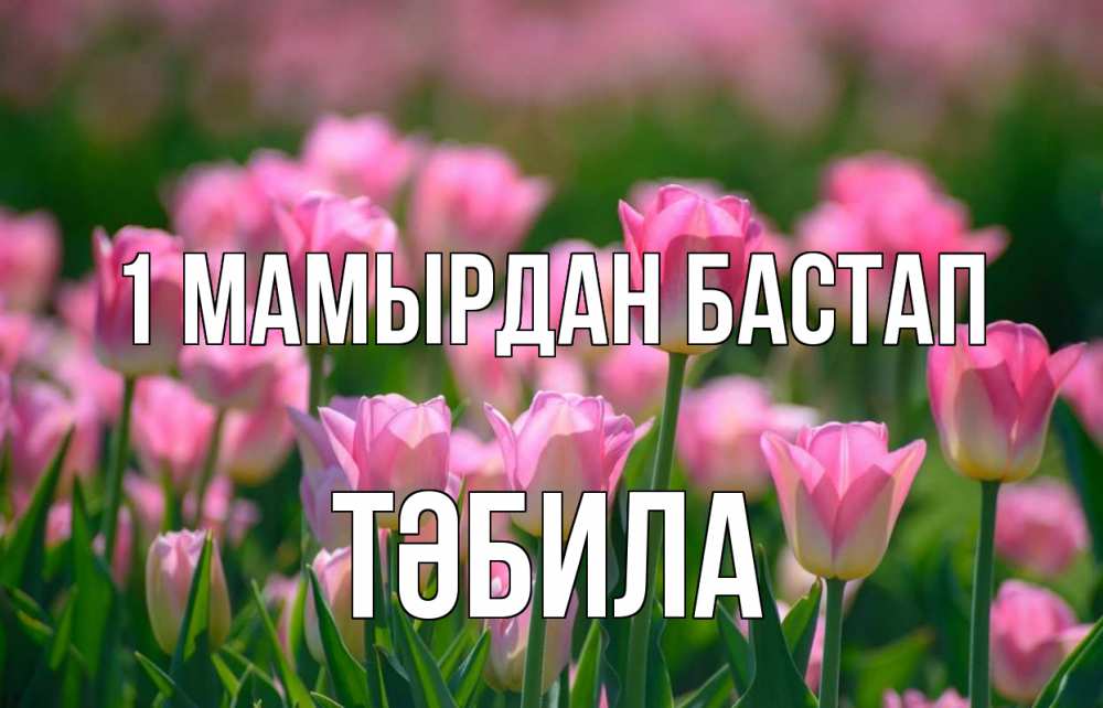 Күн сайын ашық хат с именем, ТӘБИЛА 1 мамырдан бастап С 1 мая Онлайн тегін жүктеп алу тілектері бар керемет карта 