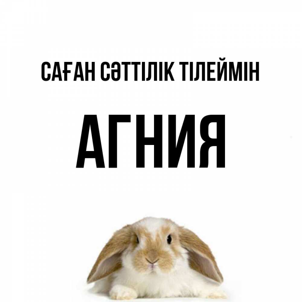 Күн сайын ашық хат с именем, Агния Саған сәттілік тілеймін открытки с произвольным текстом который можно вставить в открытку и создать ее самостоятельно бесплатно онлайн Онлайн тегін жүктеп алу тілектері бар керемет карта 