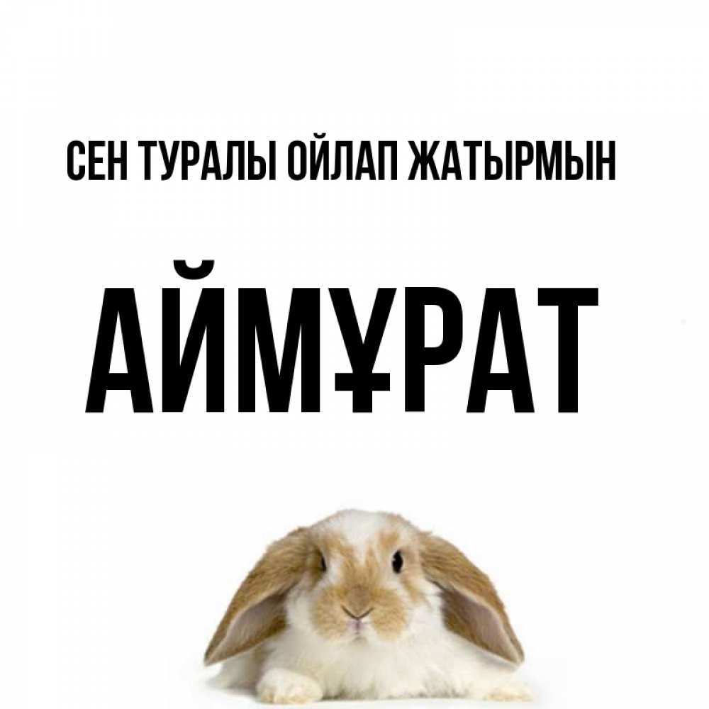 Күн сайын ашық хат с именем, Аймұрат Сен туралы ойлап жатырмын подписать своими руками онлайн Онлайн тегін жүктеп алу тілектері бар керемет карта 