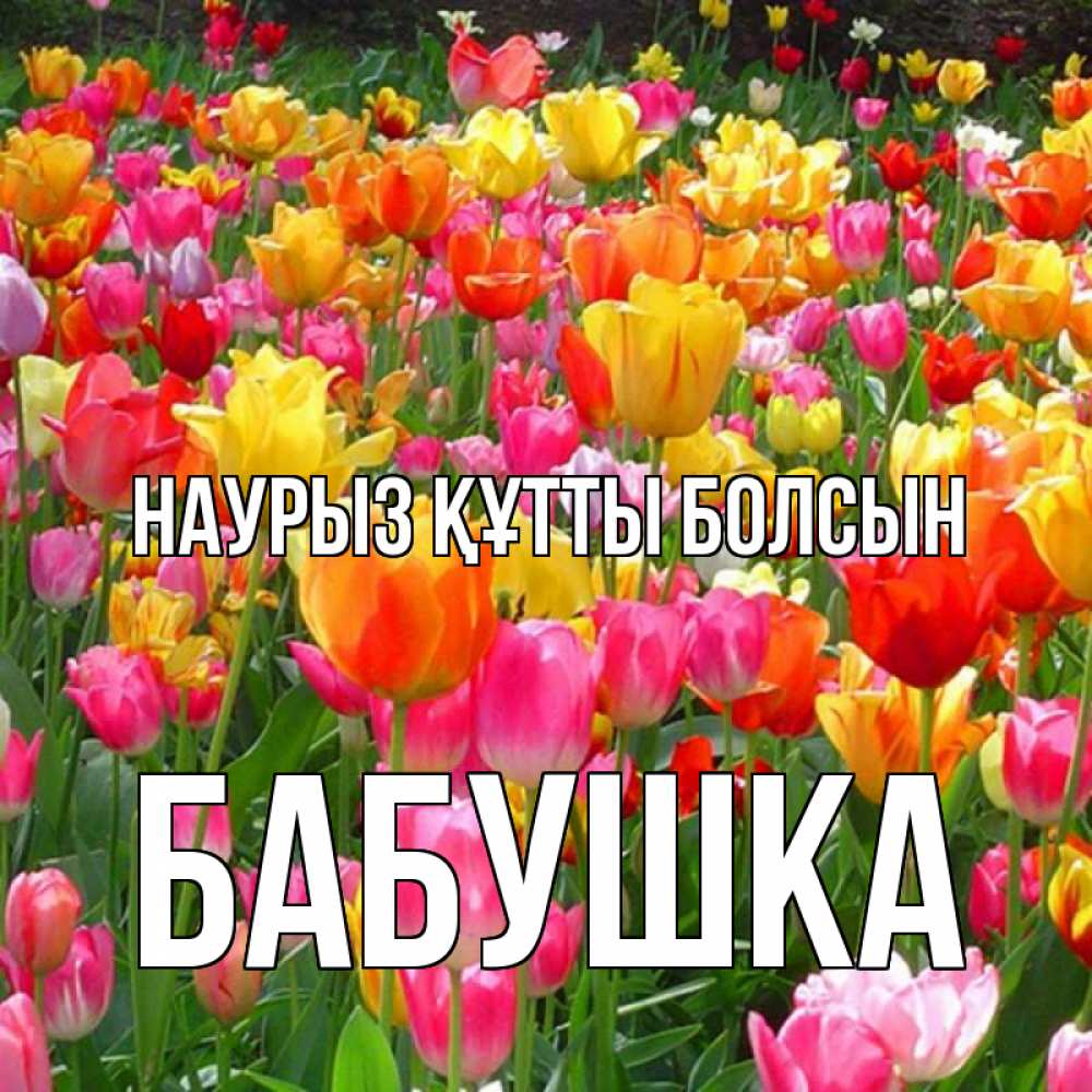 Күн сайын ашық хат с именем, Бабушка Наурыз құтты болсын на наурыз  ура ура Онлайн тегін жүктеп алу тілектері бар керемет карта 