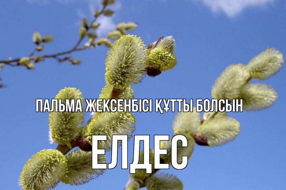 Күн сайын ашық хат с именем, Елдес Пальма жексенбісі құтты болсын верба Онлайн тегін жүктеп алу тілектері бар керемет карта 
