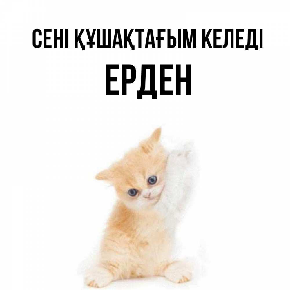 Күн сайын ашық хат с именем, Ерден сені құшақтағым келеді я хочу очень скорее обнимаешек Онлайн тегін жүктеп алу тілектері бар керемет карта 