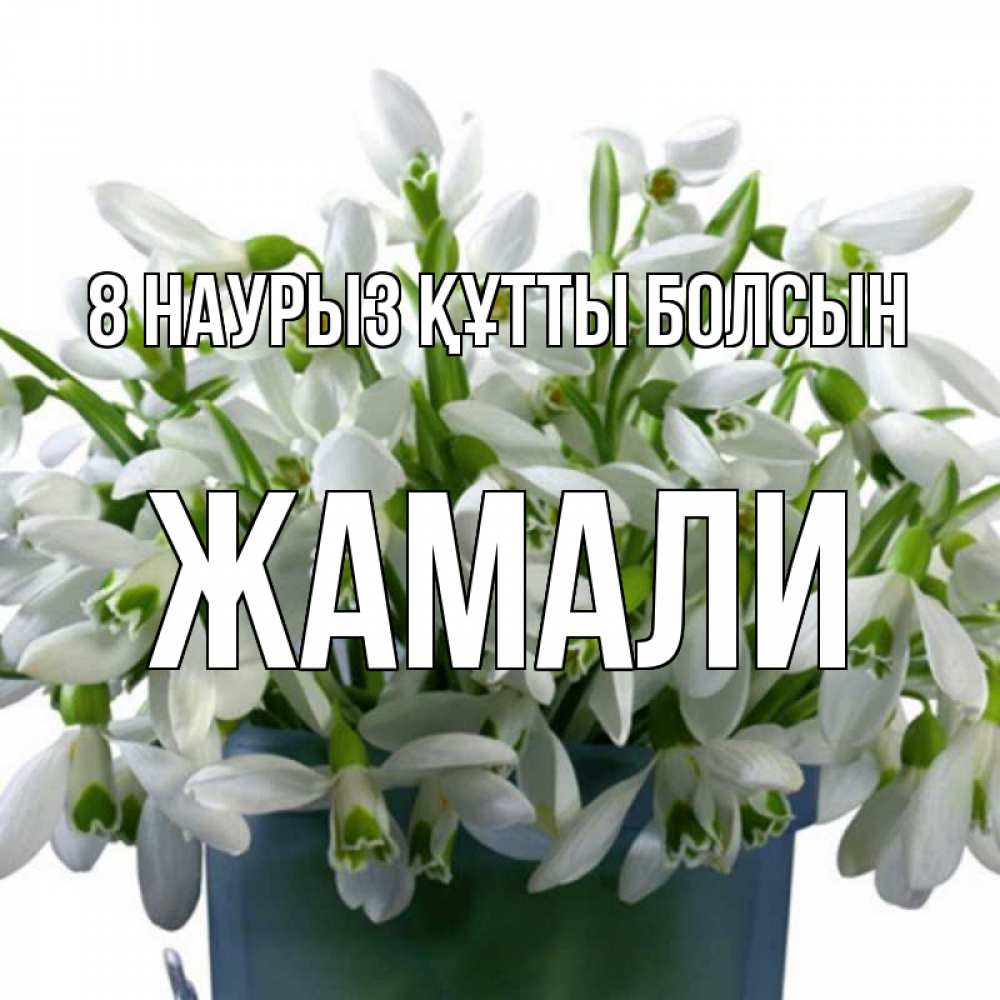 Күн сайын ашық хат с именем, ЖАМАЛИ 8 наурыз құтты болсын цветы к международному женскому дню Онлайн тегін жүктеп алу тілектері бар керемет карта 