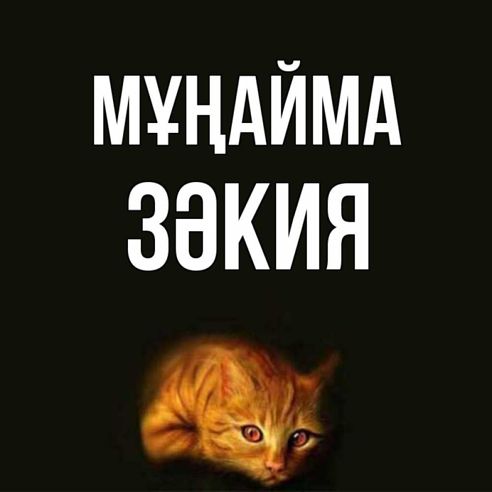 Күн сайын ашық хат с именем, ЗӘКИЯ Мұңайма лежащий кот в темноте Онлайн тегін жүктеп алу тілектері бар керемет карта 