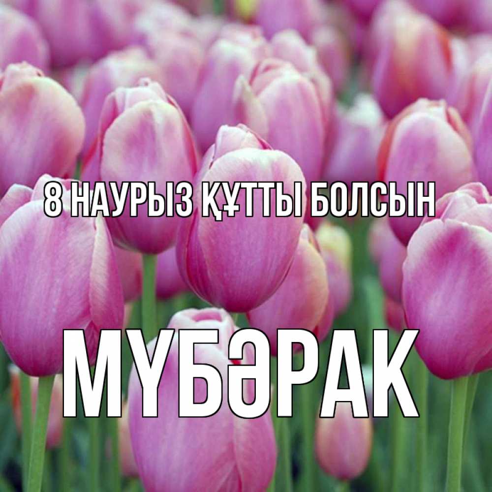 Күн сайын ашық хат с именем, МҮБӘРАК 8 наурыз құтты болсын на международный женский день 3 Онлайн тегін жүктеп алу тілектері бар керемет карта 
