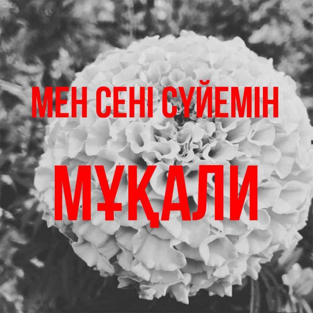 Күн сайын ашық хат с именем, МҰҚАЛИ Мен сені сүйемін подпись Онлайн тегін жүктеп алу тілектері бар керемет карта 