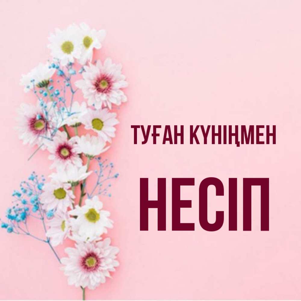 Күн сайын ашық хат с именем, НЕСІП Туған күніңмен Родная моя с днем рождения тебя картинка с цветами белыми и голубыми Онлайн тегін жүктеп алу тілектері бар керемет карта 