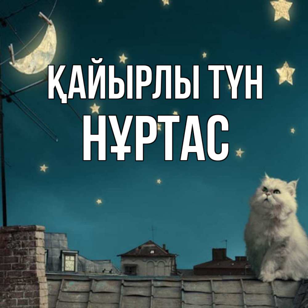 Күн сайын ашық хат с именем, НҰРТАС Қайырлы түн белый кот сидит на крыше Онлайн тегін жүктеп алу тілектері бар керемет карта 