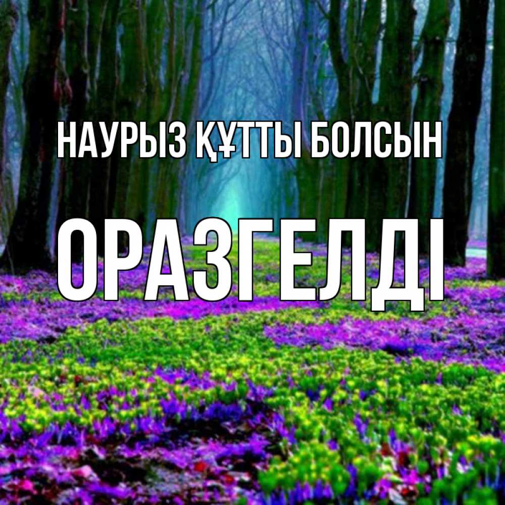 Күн сайын ашық хат с именем, ОРАЗГЕЛДІ Наурыз құтты болсын фиолетовые цветы в лесу 1 Онлайн тегін жүктеп алу тілектері бар керемет карта 