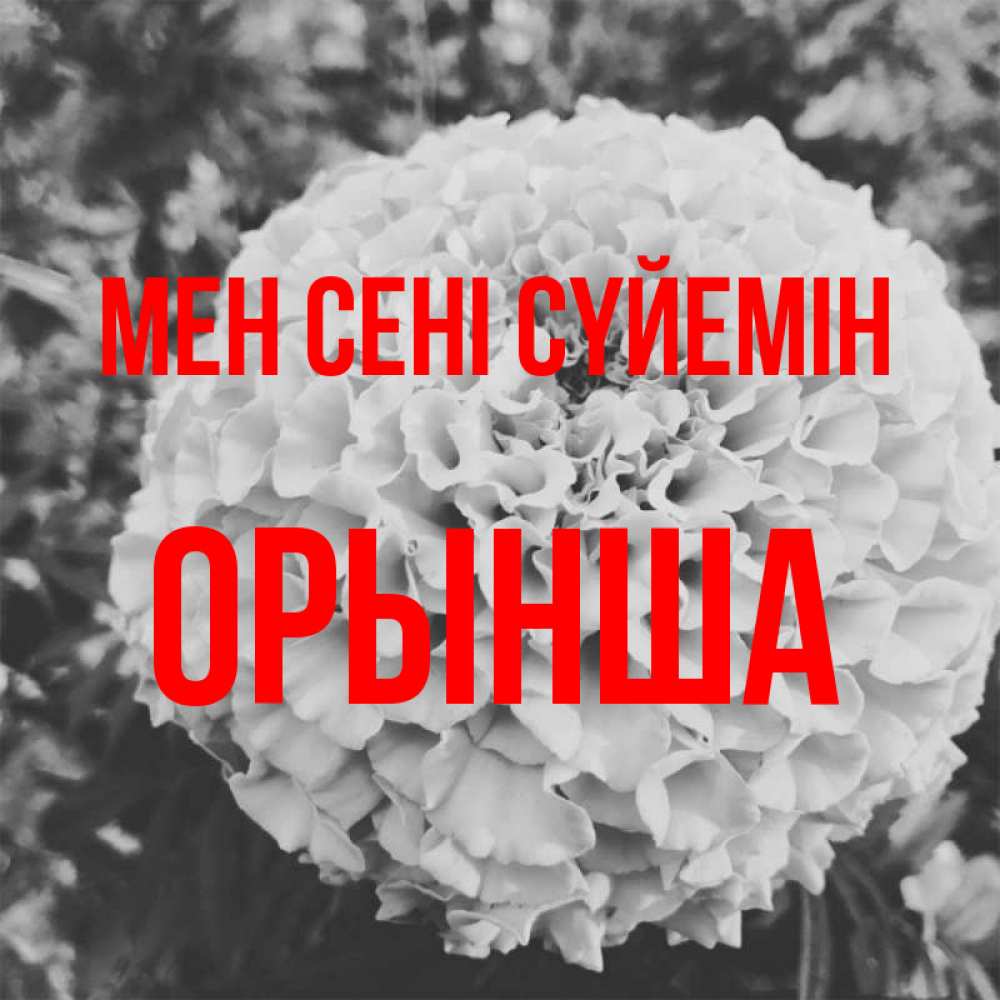Күн сайын ашық хат с именем, ОРЫНША Мен сені сүйемін подпись Онлайн тегін жүктеп алу тілектері бар керемет карта 
