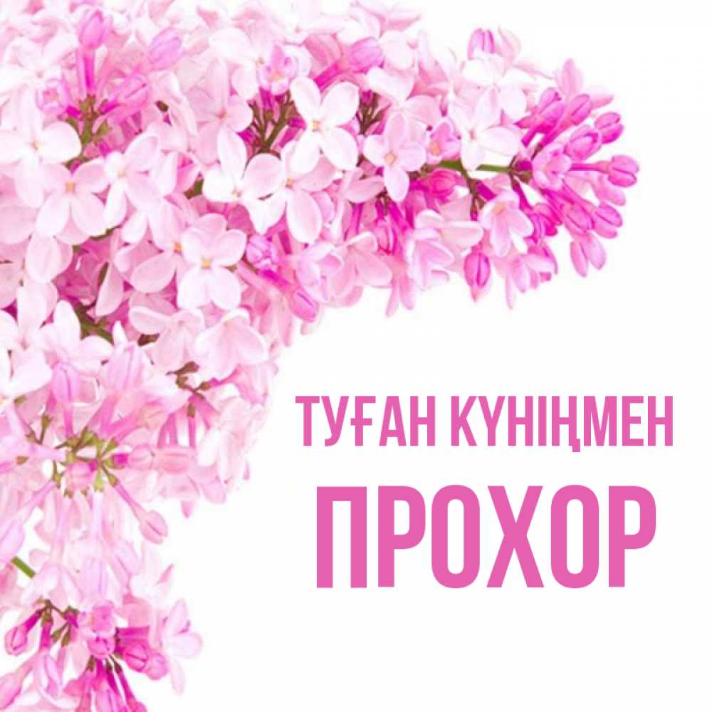 Күн сайын ашық хат с именем, Прохор Туған күніңмен Сирень на белом фоне Онлайн тегін жүктеп алу тілектері бар керемет карта 