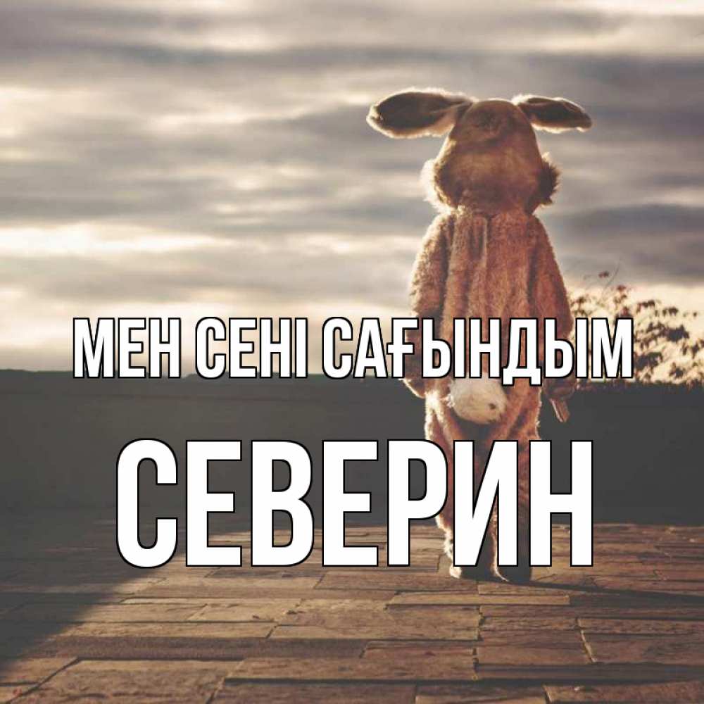 Күн сайын ашық хат с именем, Северин Мен сені сағындым даже в костюме зайца Онлайн тегін жүктеп алу тілектері бар керемет карта 