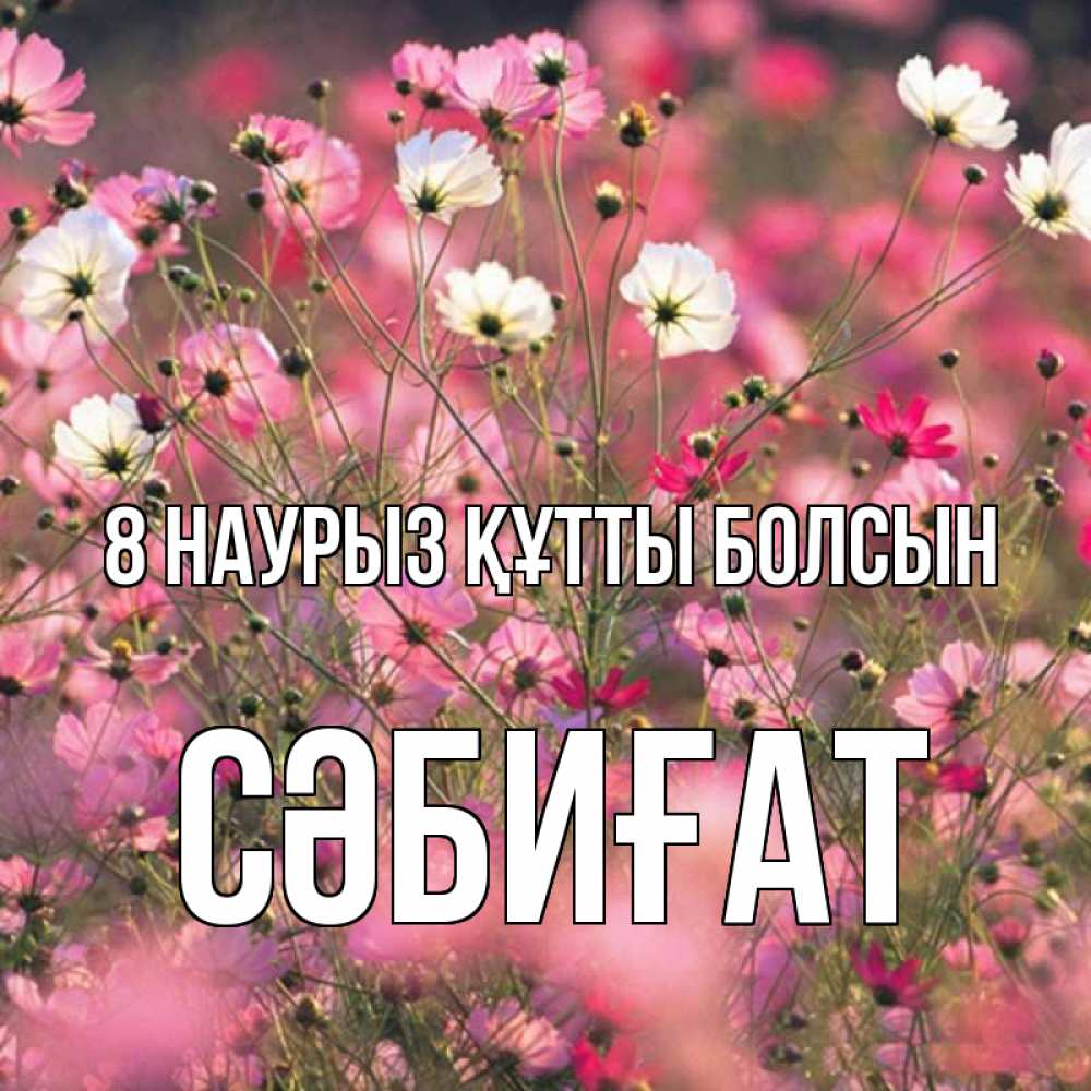 Күн сайын ашық хат с именем, СӘБИҒАТ 8 наурыз құтты болсын красиво 1 Онлайн тегін жүктеп алу тілектері бар керемет карта 