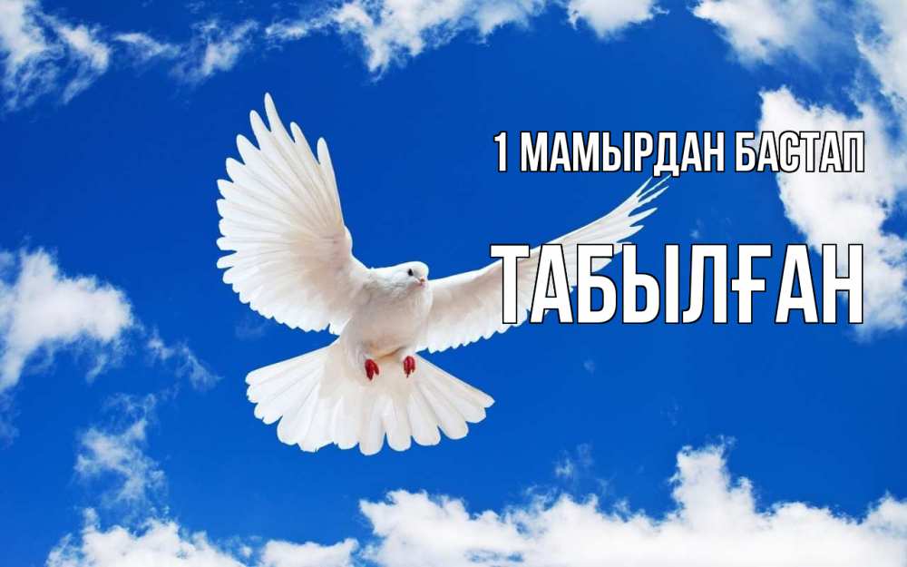 Күн сайын ашық хат с именем, ТАБЫЛҒАН 1 мамырдан бастап С 1 мая 1 Онлайн тегін жүктеп алу тілектері бар керемет карта 