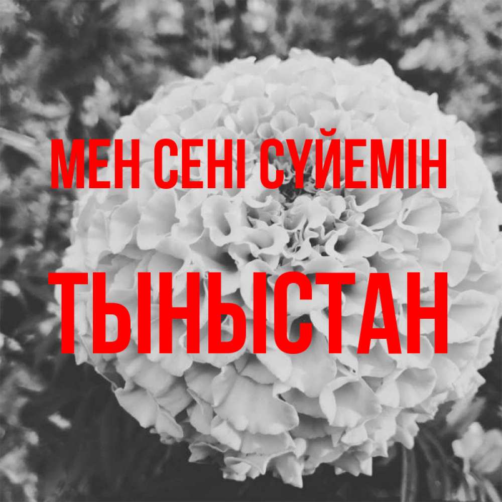 Күн сайын ашық хат с именем, ТЫНЫСТАН Мен сені сүйемін подпись Онлайн тегін жүктеп алу тілектері бар керемет карта 